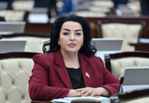 Fatma Yıldırım: İnanıram ki, Türk dünyasının həmrəyliyi ilə COP31 qlobal iqlim gündəminə yeni nəfəs gətirəcək Milli Məclisin Təbii ehtiyatlar, energetika və ekologiya komitəsinin sədr müavini Fatma Yıldırım