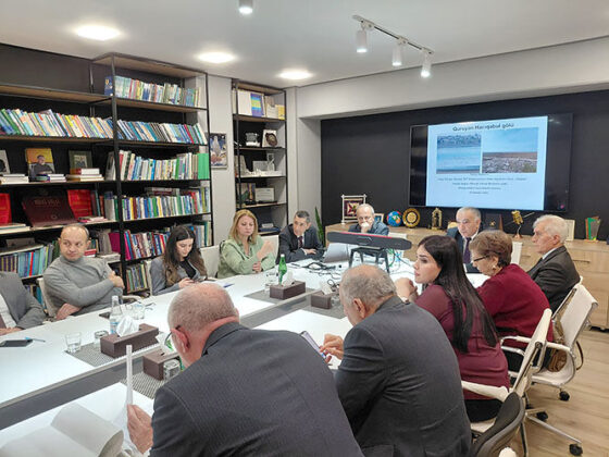 Hacıqabul g&ouml;l&uuml;n&uuml;n m&ouml;vcud vəziyyəti və bərpası yollarına həsr olunmuş dəyirmi masa