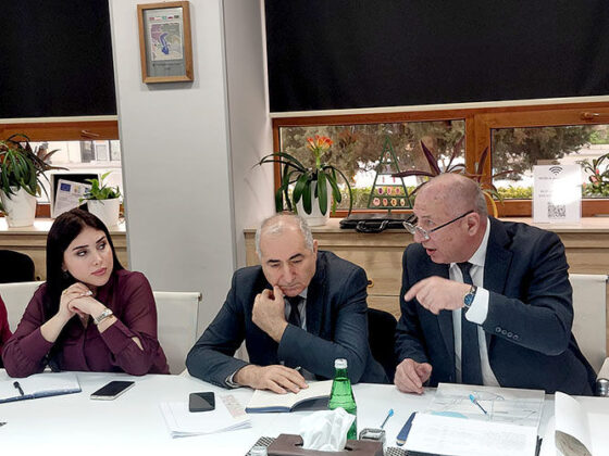 Hacıqabul g&ouml;l&uuml;n&uuml;n m&ouml;vcud vəziyyəti və bərpası yollarına həsr olunmuş dəyirmi masa