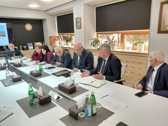 Hacıqabul g&ouml;l&uuml;n&uuml;n m&ouml;vcud vəziyyəti və bərpası yollarına həsr olunmuş dəyirmi masa