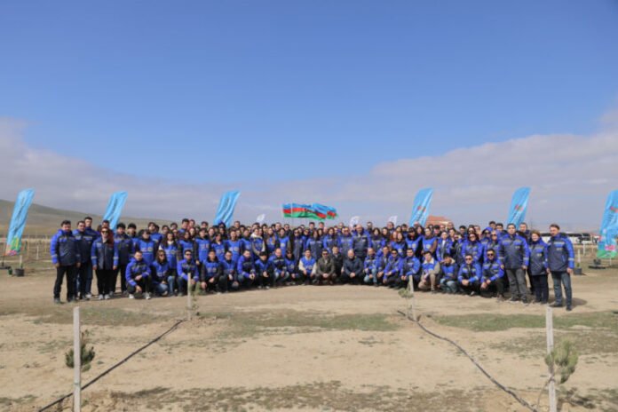 WUF13 çərçivəsində 600-dən çox ağac əkilib WUF13 çərçivəsində 600-dən çox ağac əkilib