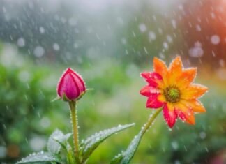 Azərbaycanın rayonlarında bəzi yerlərdə hava yağıntılı olacaq yağıntılı hava