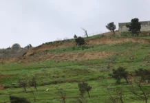 Kəmaləddin Heydərov Badamdarda sürüşmə sahəsinə baxış keçirib Badamdar