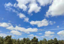 “IQAir”: Azərbaycan havanın təmizliyinə görə Cənubi Qafqazda liderdir havanın təmizliyi