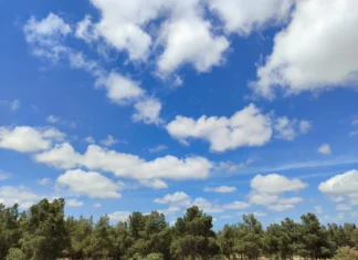 “IQAir”: Azərbaycan havanın təmizliyinə görə Cənubi Qafqazda liderdir havanın təmizliyi