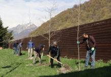 Qəbələdə ilin ilk ağacəkmə aksiyasında 800 müxtəlif növ ağac əkilib Qəbələdə ilin ilk ağacəkmə aksiyası