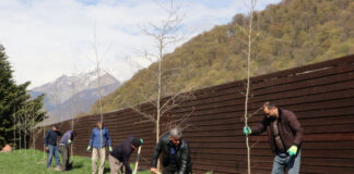 Qəbələdə ilin ilk ağacəkmə aksiyasında 800 müxtəlif növ ağac əkilib Qəbələdə ilin ilk ağacəkmə aksiyası