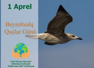 1 aprel – Beynəlxalq Quşlar Günüdür Beynəlxalq Quşlar Günü